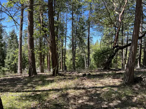 00348 Flounce Rock Rd, Prospect, OR 97536
