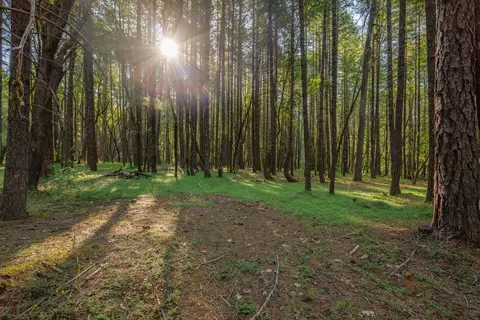 355 Firview Ln, Wilderville, OR 97543