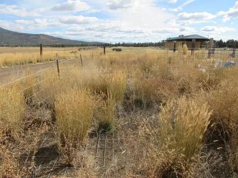 4130 Sheep Mountain Rd, Macdoel, CA 96058 photo 15