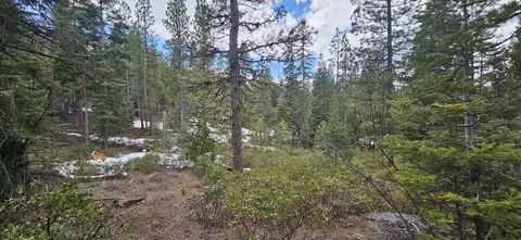 leopard lane, Bonanza, OR 97623