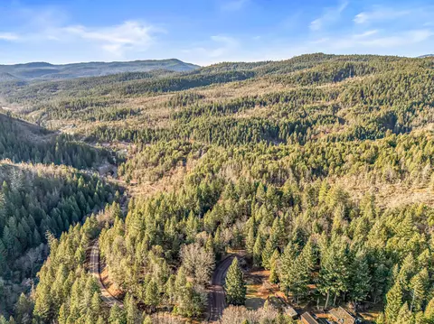 289 Elder Mill Rd, Trail, OR 97541 photo 9