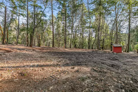 289 Elder Mill Rd, Trail, OR 97541 photo 14
