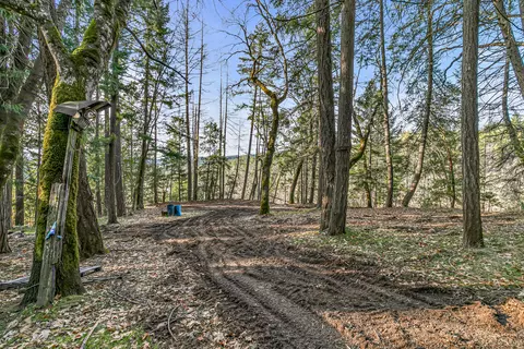 289 Elder Mill Rd, Trail, OR 97541 photo 17