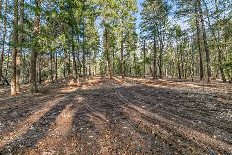 289 Elder Mill Rd, Trail, OR 97541 photo 16