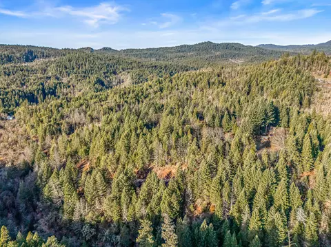 289 Elder Mill Rd, Trail, OR 97541 photo 10