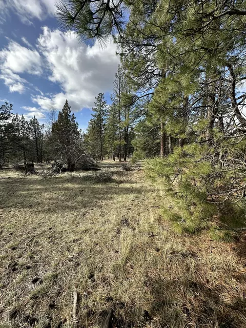 0 Widgeon Dr #LOT 3, Bonanza, OR 97623