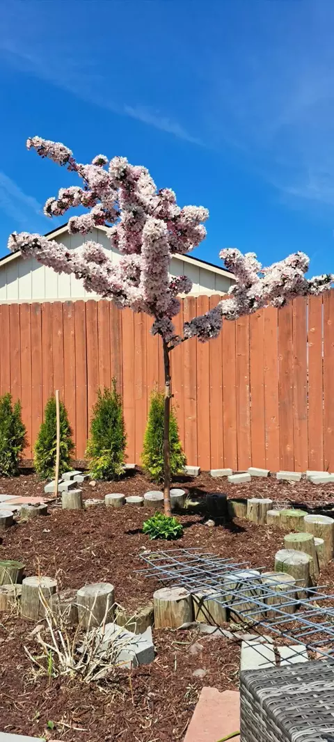 Exterior - 514 Scenic Loop, Culver, OR 97734 photo 10 of 11