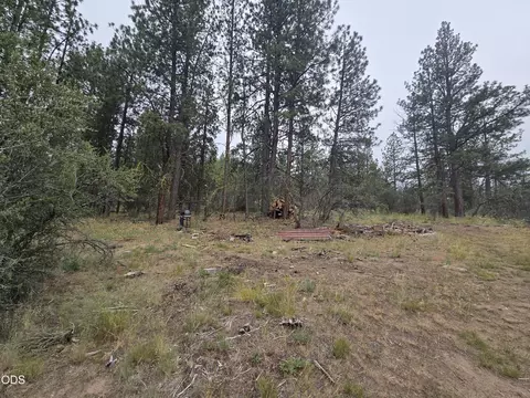 0 Partin Way #5, Beatty, OR 97621