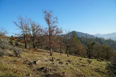 e evans cr road, Rogue River, OR 97537