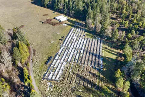 1491 Draper Valley Rd, Selma, OR 97538 photo 14