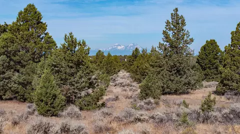 chaparral drive #HOME 487, Powell Butte, OR 97753