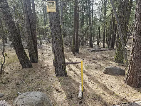 0 Seal Ln #8, Bonanza, OR 97623