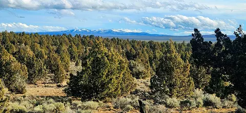 merrill road, Brothers, OR 97712