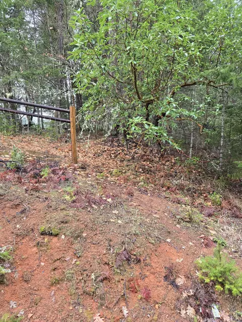 0 Mcmullen Creek Rd #TL205, Selma, OR 97538
