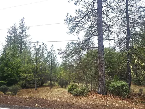 5322 Rockydale Rd, Cave Junction, OR 97523 photo 3