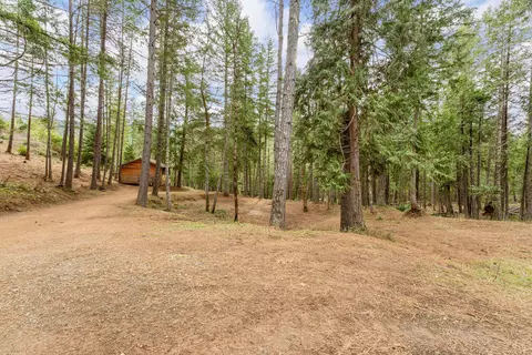 4202 Upper Cow Creek Rd, Azalea, OR 97410 photo 10
