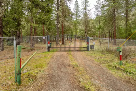 4202 Upper Cow Creek Rd, Azalea, OR 97410 photo 2
