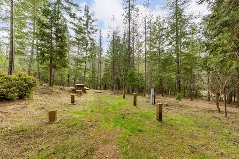4202 Upper Cow Creek Rd, Azalea, OR 97410 photo 44