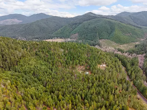 4202 Upper Cow Creek Rd, Azalea, OR 97410 photo 37