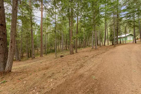 4202 Upper Cow Creek Rd, Azalea, OR 97410 photo 4