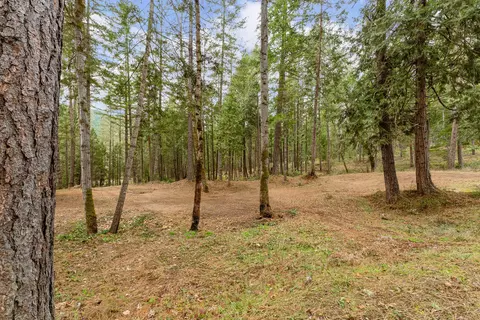 4202 Upper Cow Creek Rd, Azalea, OR 97410 photo 43
