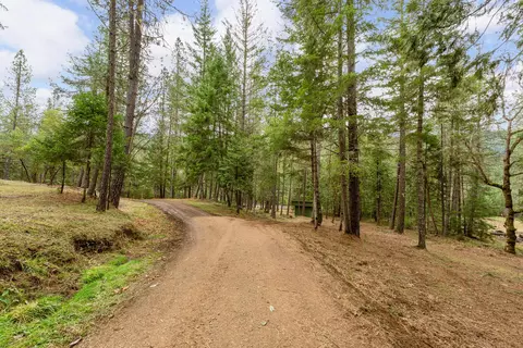 4202 Upper Cow Creek Rd, Azalea, OR 97410 photo 9