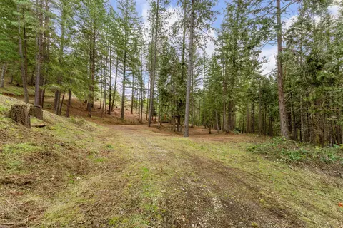4202 Upper Cow Creek Rd, Azalea, OR 97410 photo 12