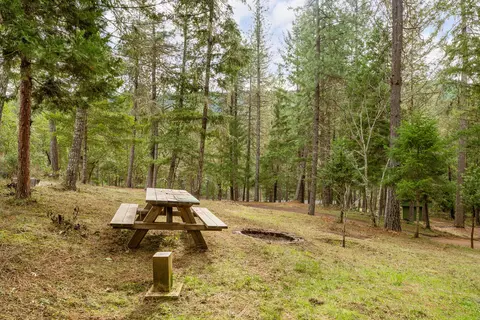4202 Upper Cow Creek Rd, Azalea, OR 97410 photo 7