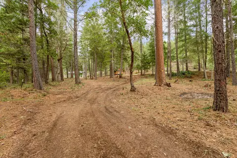 4202 Upper Cow Creek Rd, Azalea, OR 97410 photo 11