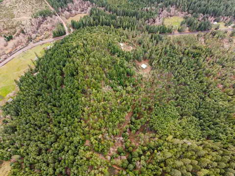 4202 Upper Cow Creek Rd, Azalea, OR 97410 photo 41