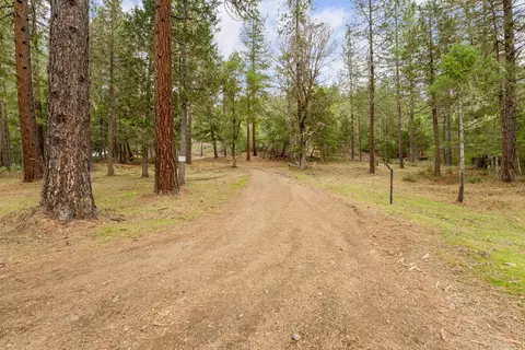 4202 Upper Cow Creek Rd, Azalea, OR 97410 photo 3