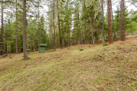 4202 Upper Cow Creek Rd, Azalea, OR 97410 photo 5
