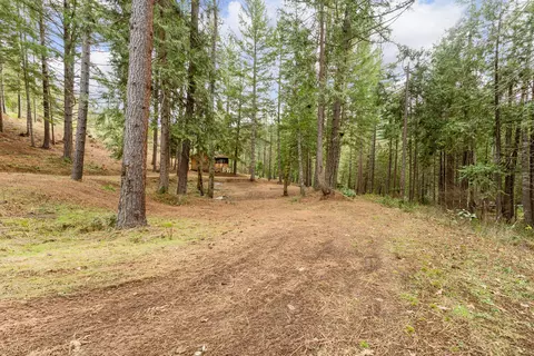 4202 Upper Cow Creek Rd, Azalea, OR 97410 photo 8