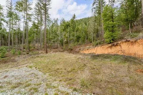 4202 Upper Cow Creek Rd, Azalea, OR 97410 photo 45