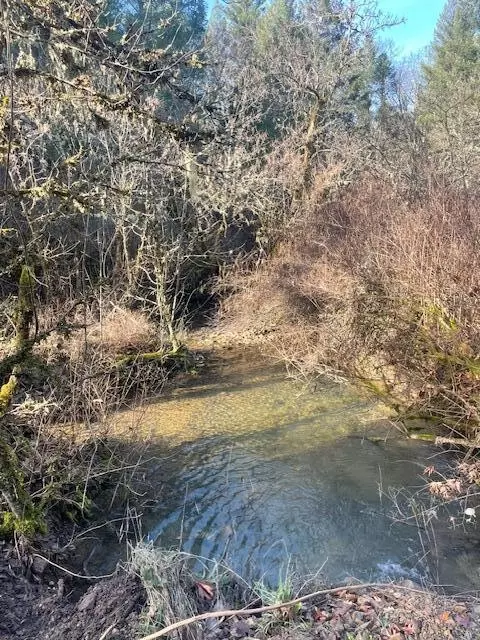 200 Hogue Dr, Selma, OR 97538