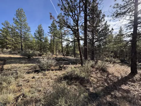 0 Pheasant Ln #9, Chiloquin, OR 97624