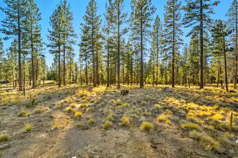 elk run drive, Bend, OR 97707