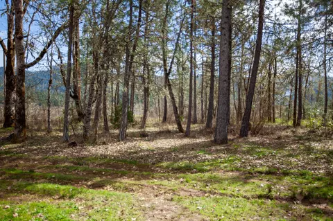 3759 Dick George Rd, Cave Junction, OR 97523 photo 5