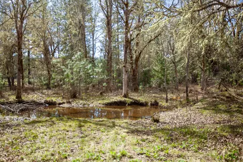 3759 Dick George Rd, Cave Junction, OR 97523 photo 6