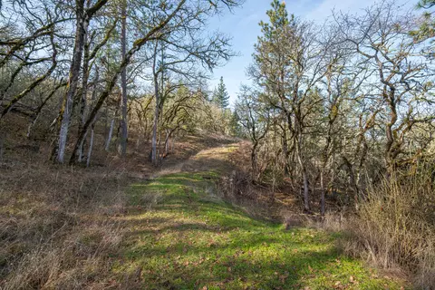365 White Tail Dr, Eagle Point, OR 97524 photo 24