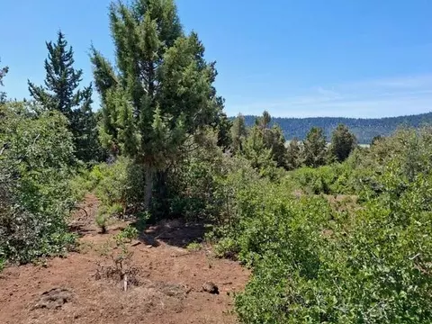 crossbill drive, Klamath Falls, OR 97601