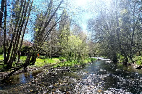 3356 Little Applegate Rd, Jacksonville, OR 97530