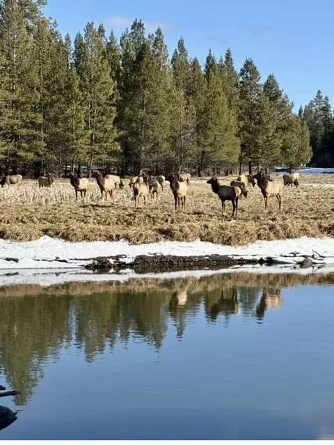 View/Area - 56532 Eclipse Dr, Bend, OR 97707 photo 3 of 3