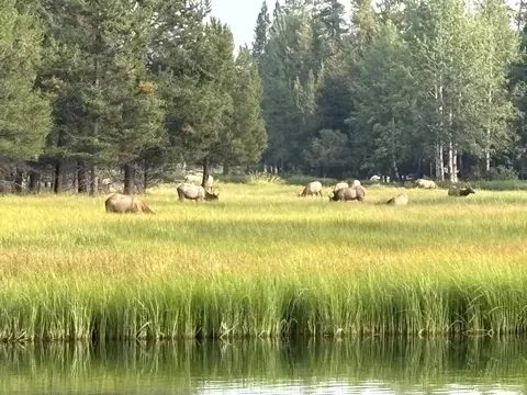View/Area - 56532 Eclipse Dr, Bend, OR 97707 photo 2 of 3