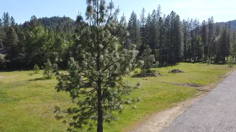 4697 Evans Creek Rd, Rogue River, OR 97537 photo 8