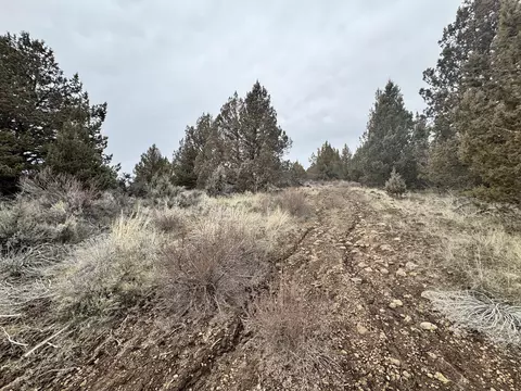 0 Drews Rd #6, Sprague River, OR 97639