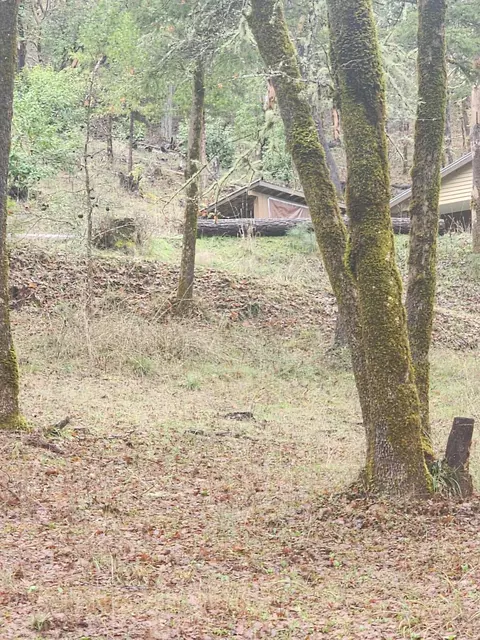 11238 Evans Creek Rd, Rogue River, OR 97537 photo 18
