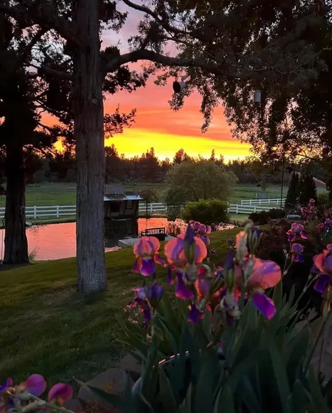 Other - 62111 Cody Rd, Bend, OR 97701 photo 15 of 16
