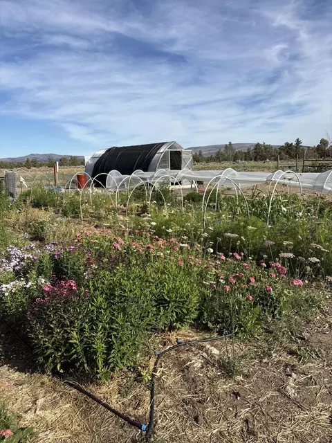 Other - 9337 SW Willard Rd, Bend, OR 97701 photo 8 of 12