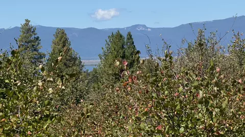 david st LOT 3, Klamath Falls, OR 97601